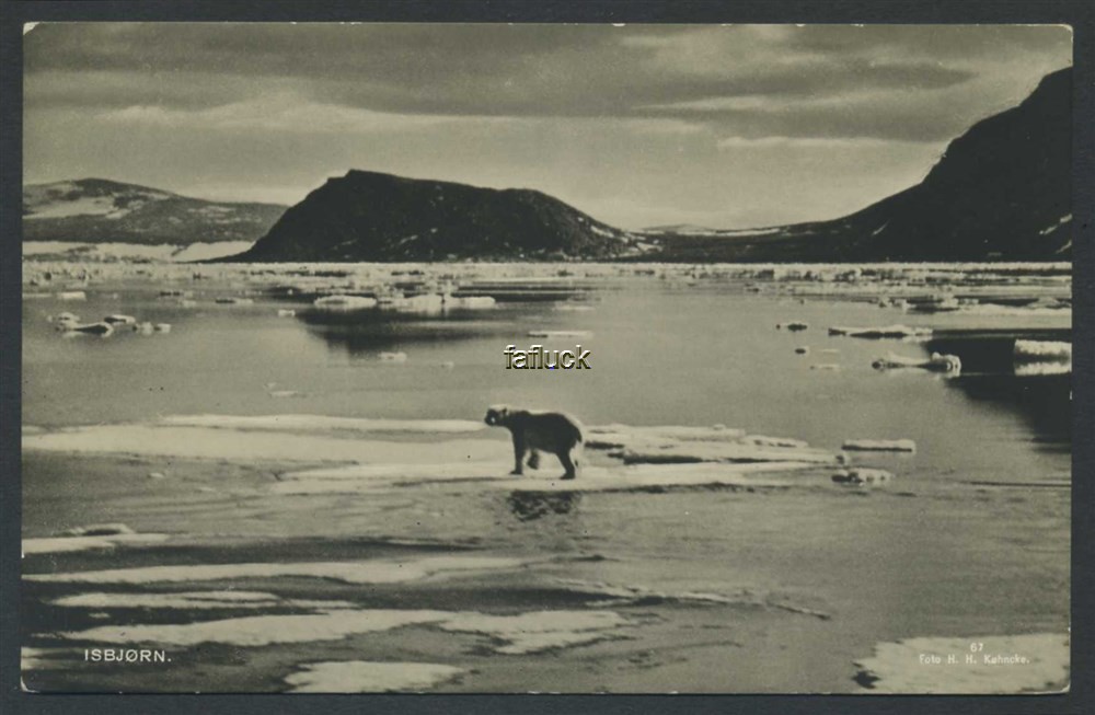 Norway Polar 07: Isbjørn. Polar bear on ice floe. Mountains. H.H. Køhncke 67.