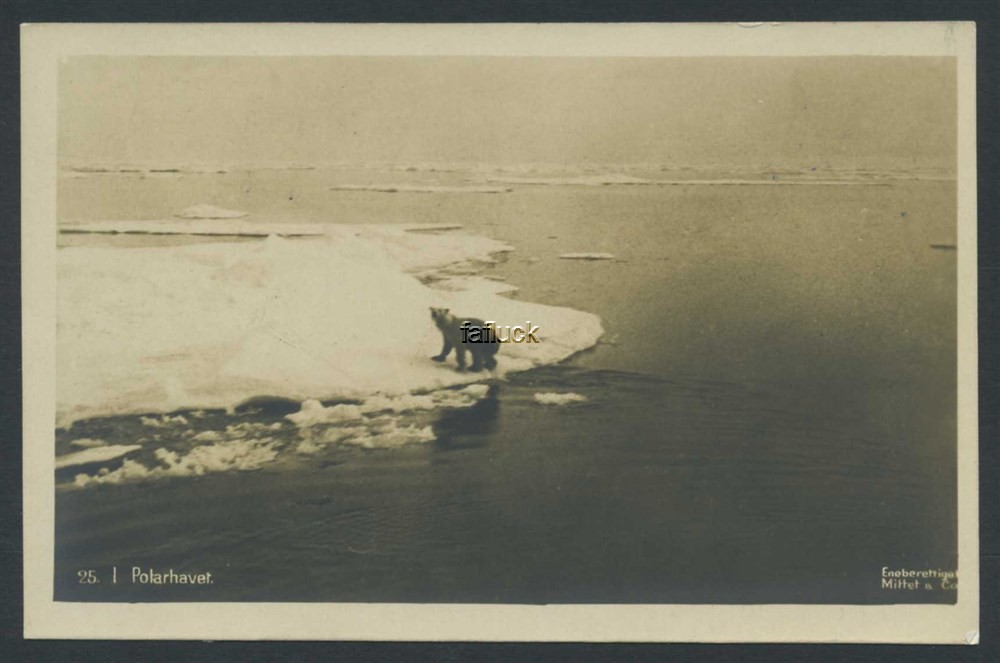 Norway Polar 07: Polar sea. Polar bear on ice floe. Mittet nr. 25. Unused.