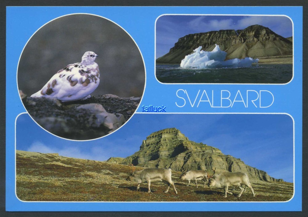 Norway Polar 07: Svalbard. Several motives. Big format. Color. To-foto 87-116.
