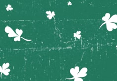 Buy Hollister Gift Cards GiftCardGranny