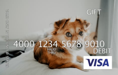 Visa gift card