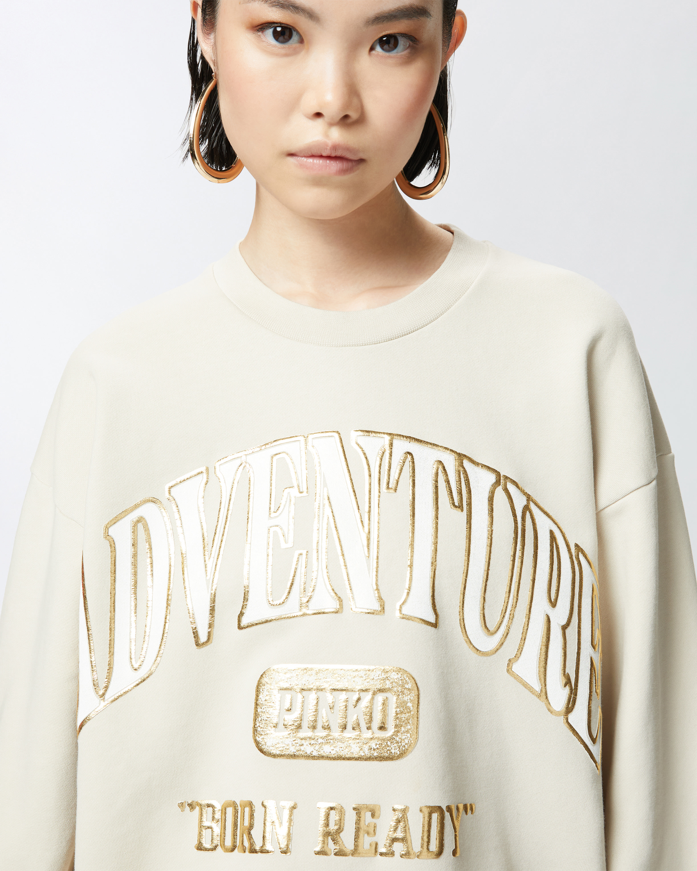 Pinko Adventure Sweatshirt With Glitter In G. Maroso Beige