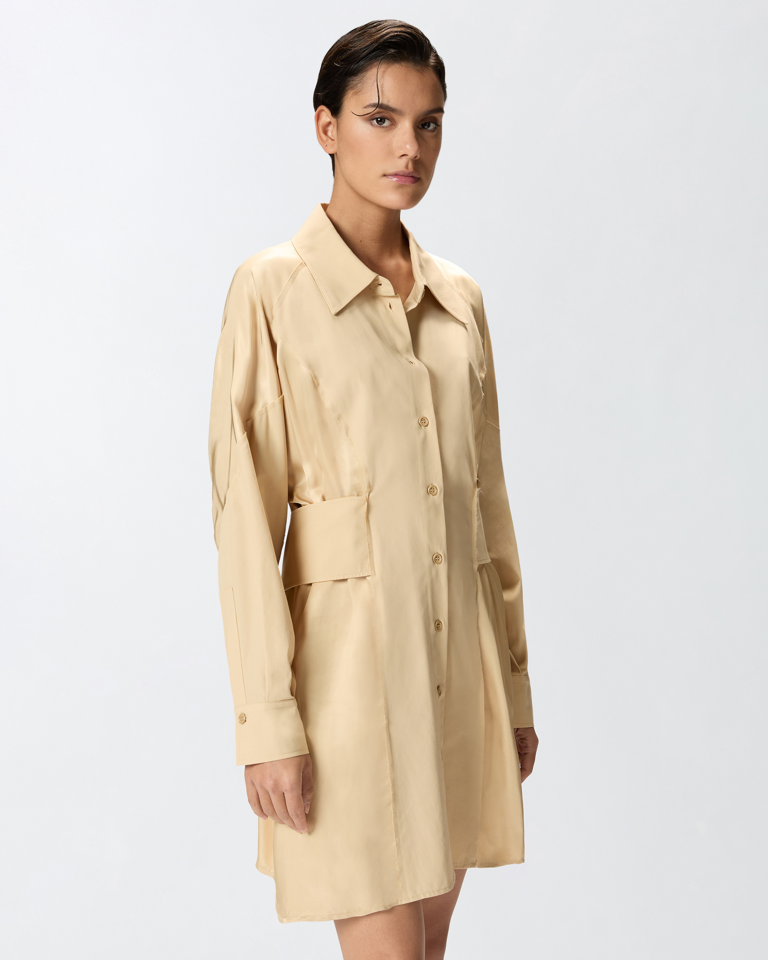 Pinko Short Shirt Dress In Habotai And Cotton