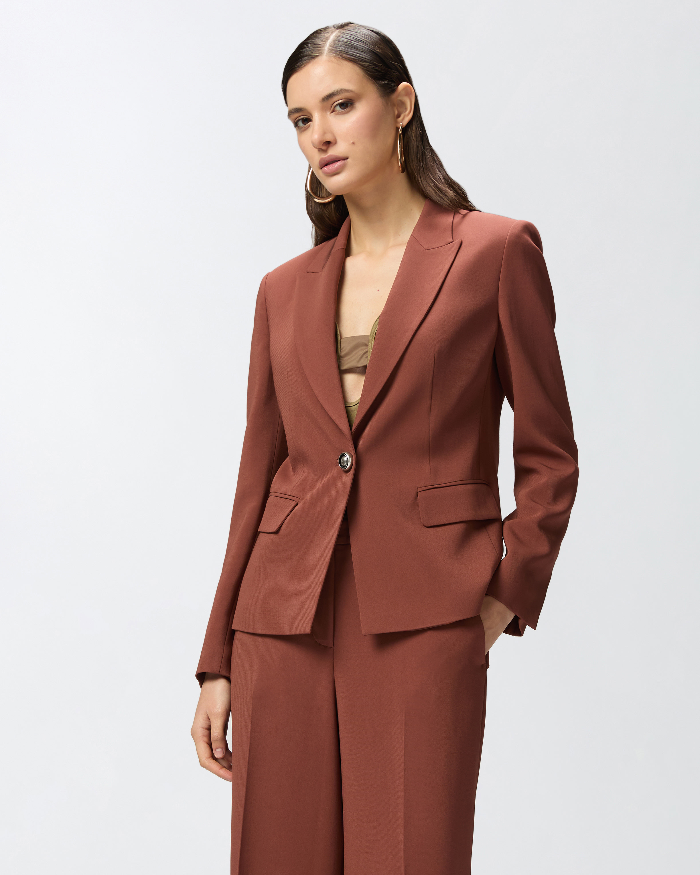 Pinko Gente Single-breasted One Button Jacket In Cinnamon