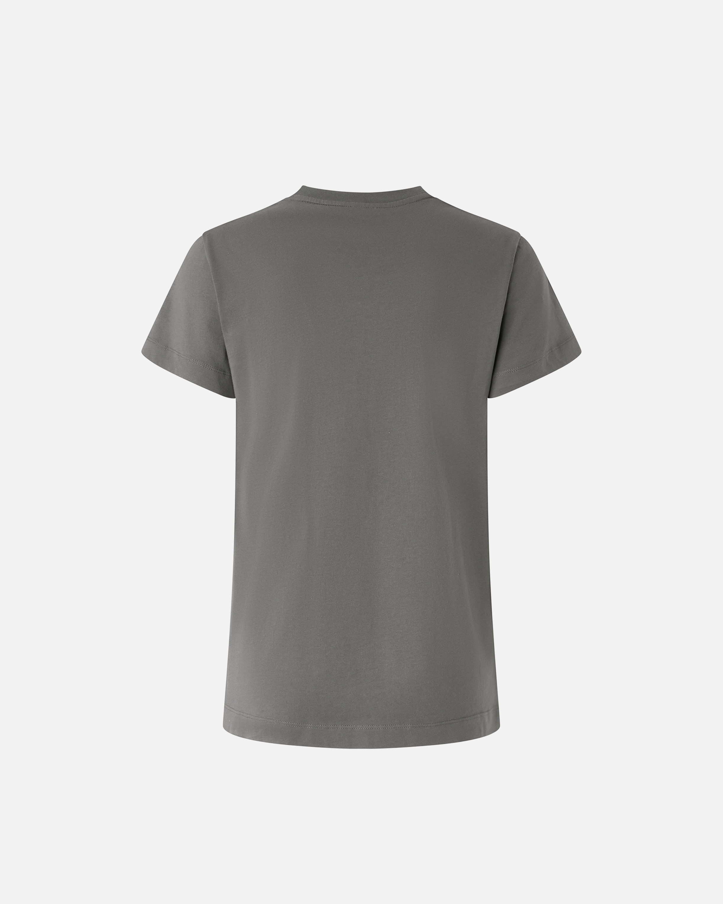 Pinko Logo And Birds T-shirt In Grey-dark Seagull