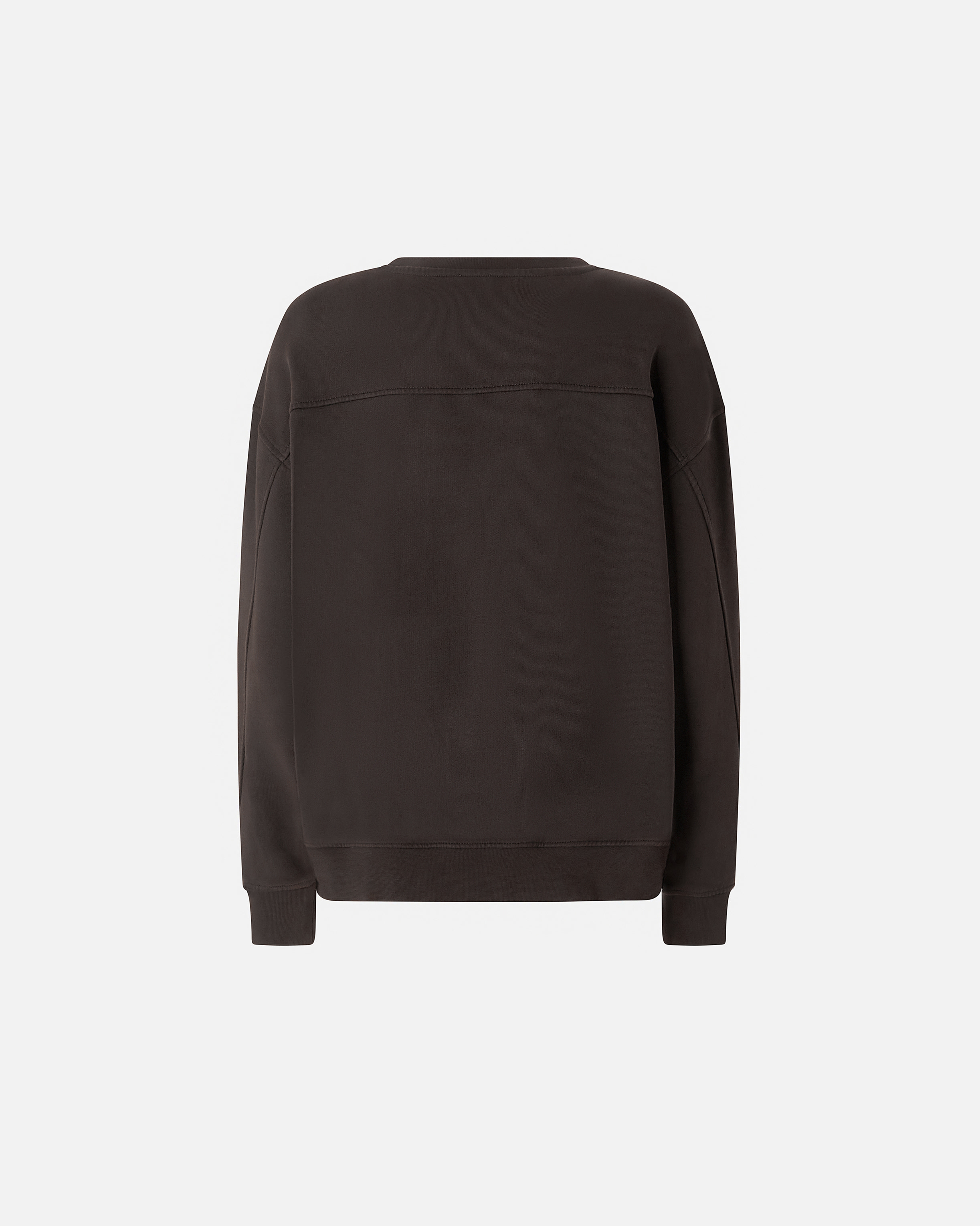 Pinko Setup Crewneck Sweatshirt In Cotton With Logo In Brown