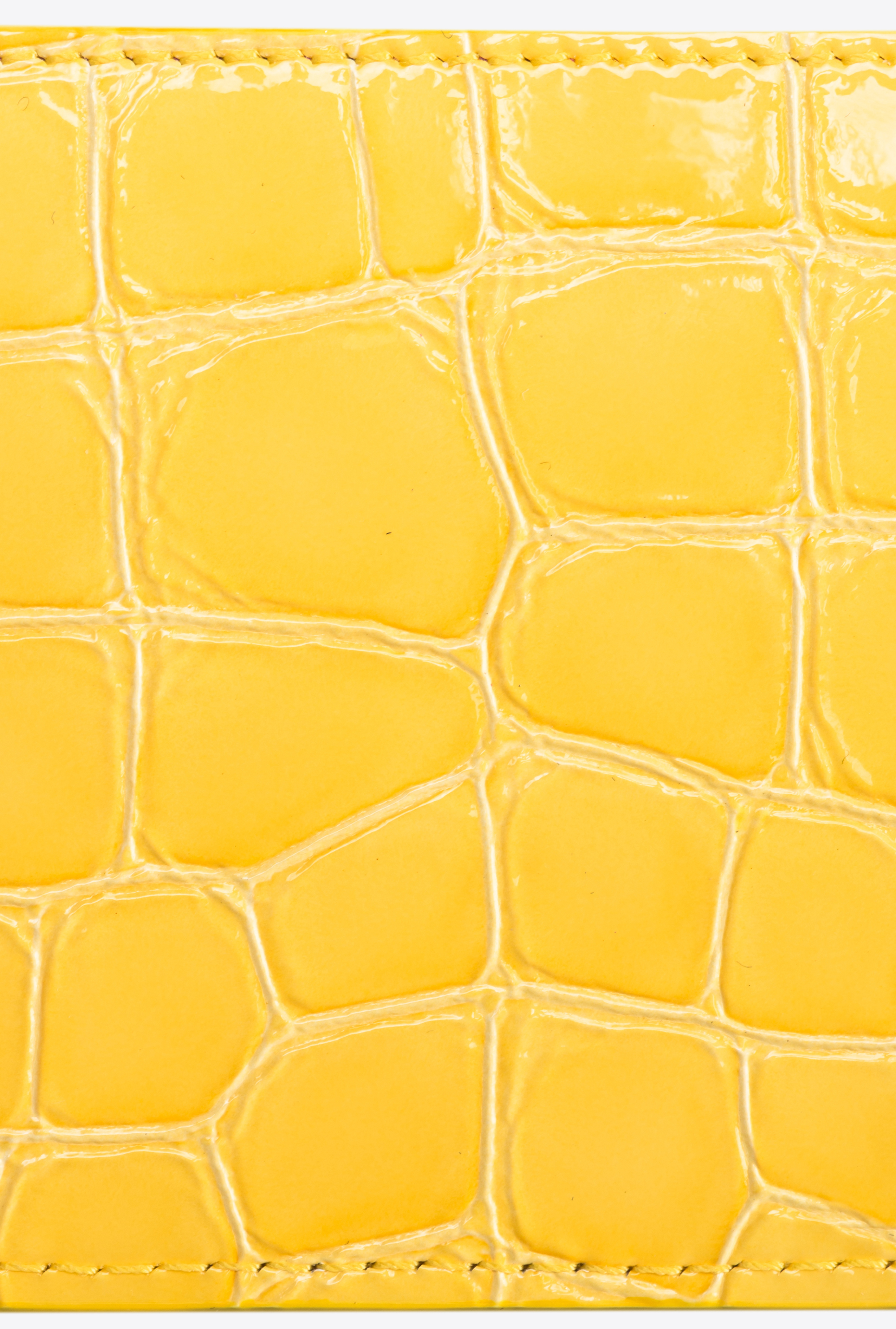 Pinko Galleria Card Holder In Shiny Coloured Croc-print Leather In Sun Yellow-light Gold