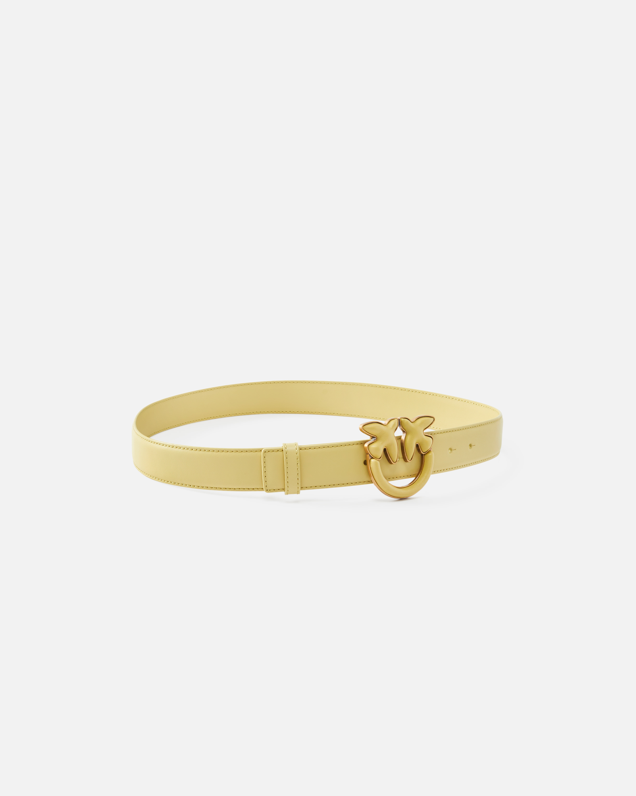 Pinko Ceinture De 3 Cm Avec Boucle Recouverte De Cuir In Lime-antique Gold