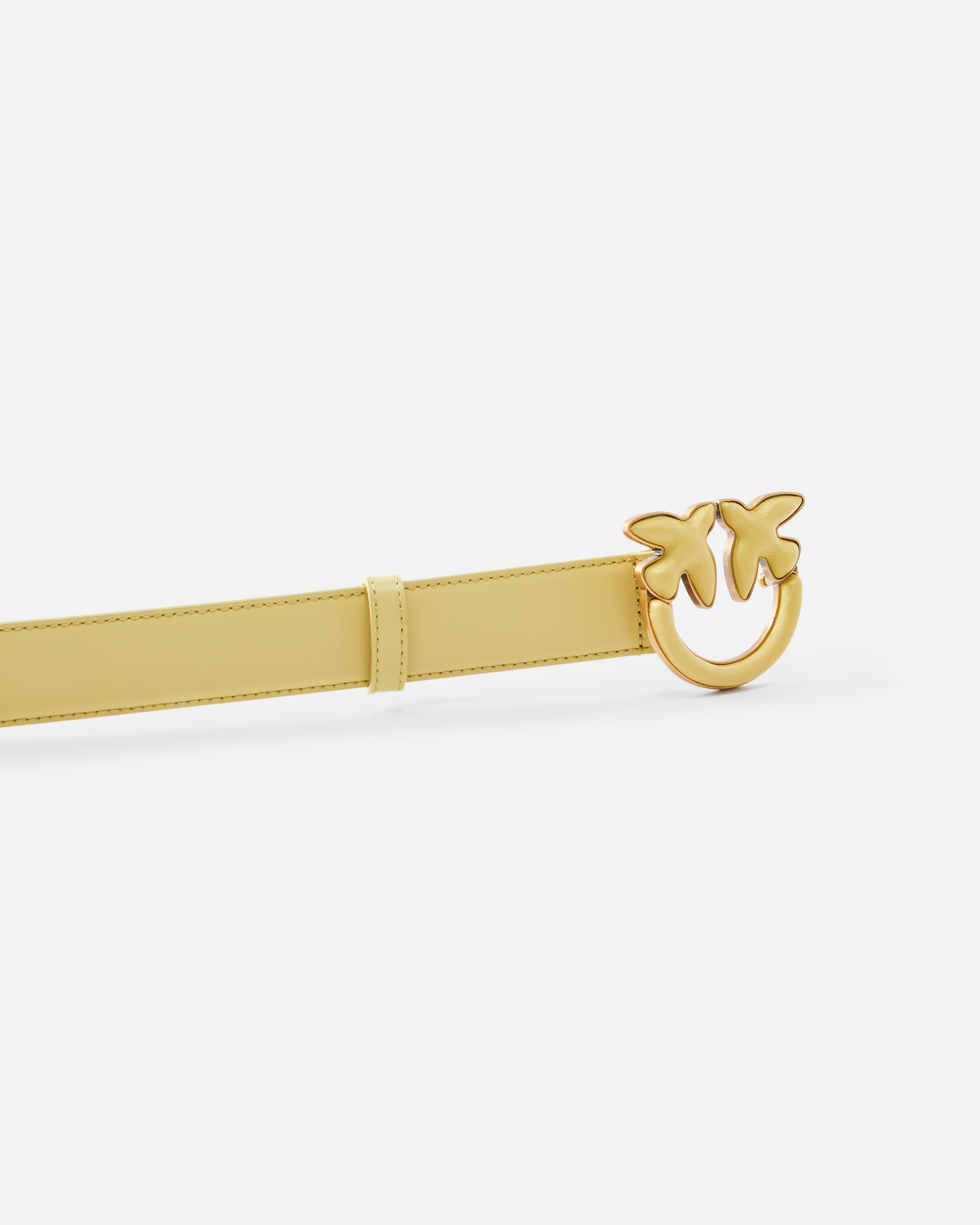 Pinko Ceinture De 3 Cm Avec Boucle Recouverte De Cuir In Lime-antique Gold