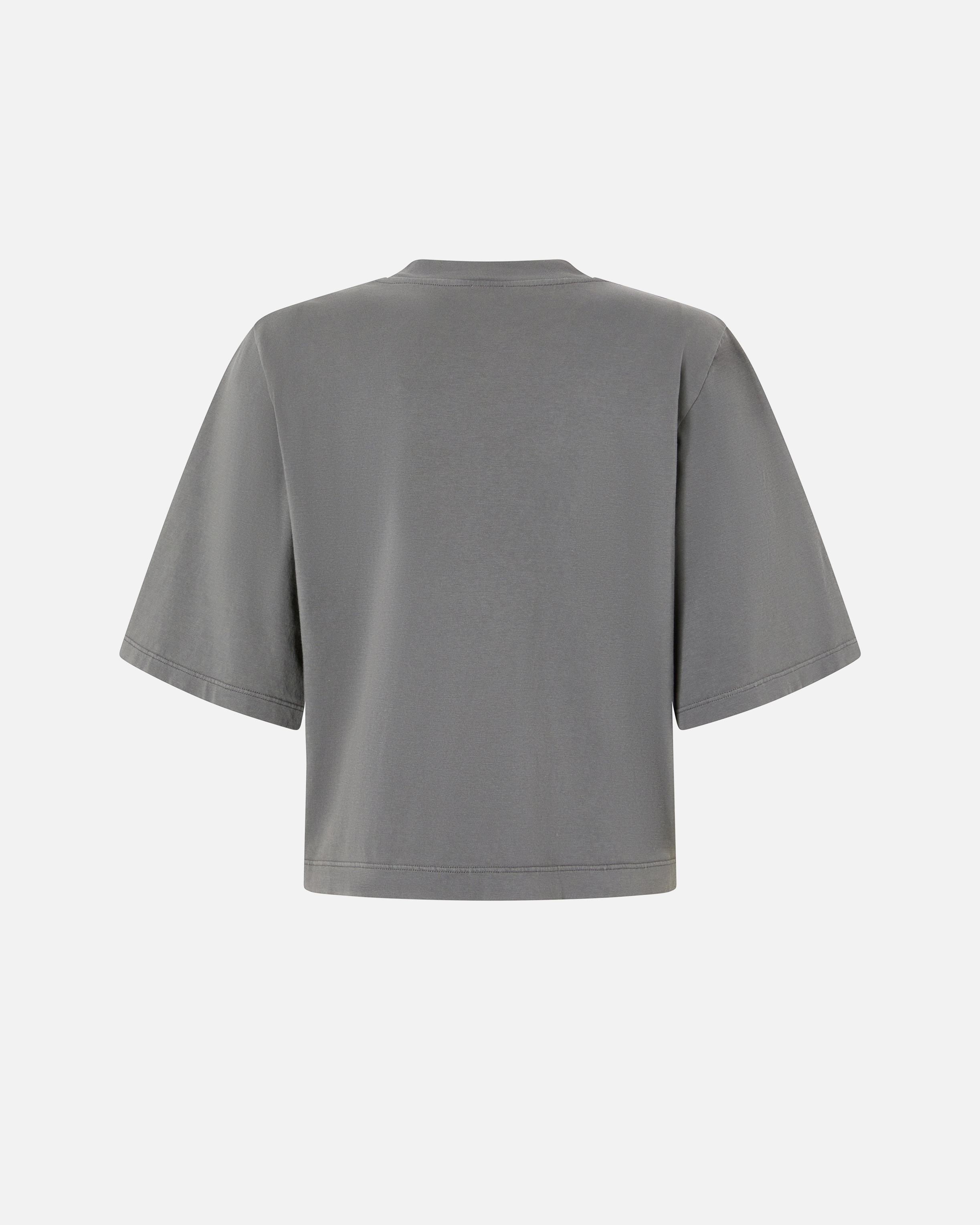 Pinko Flaming Logo Print T-shirt In Grigio-gabbiano Scuro