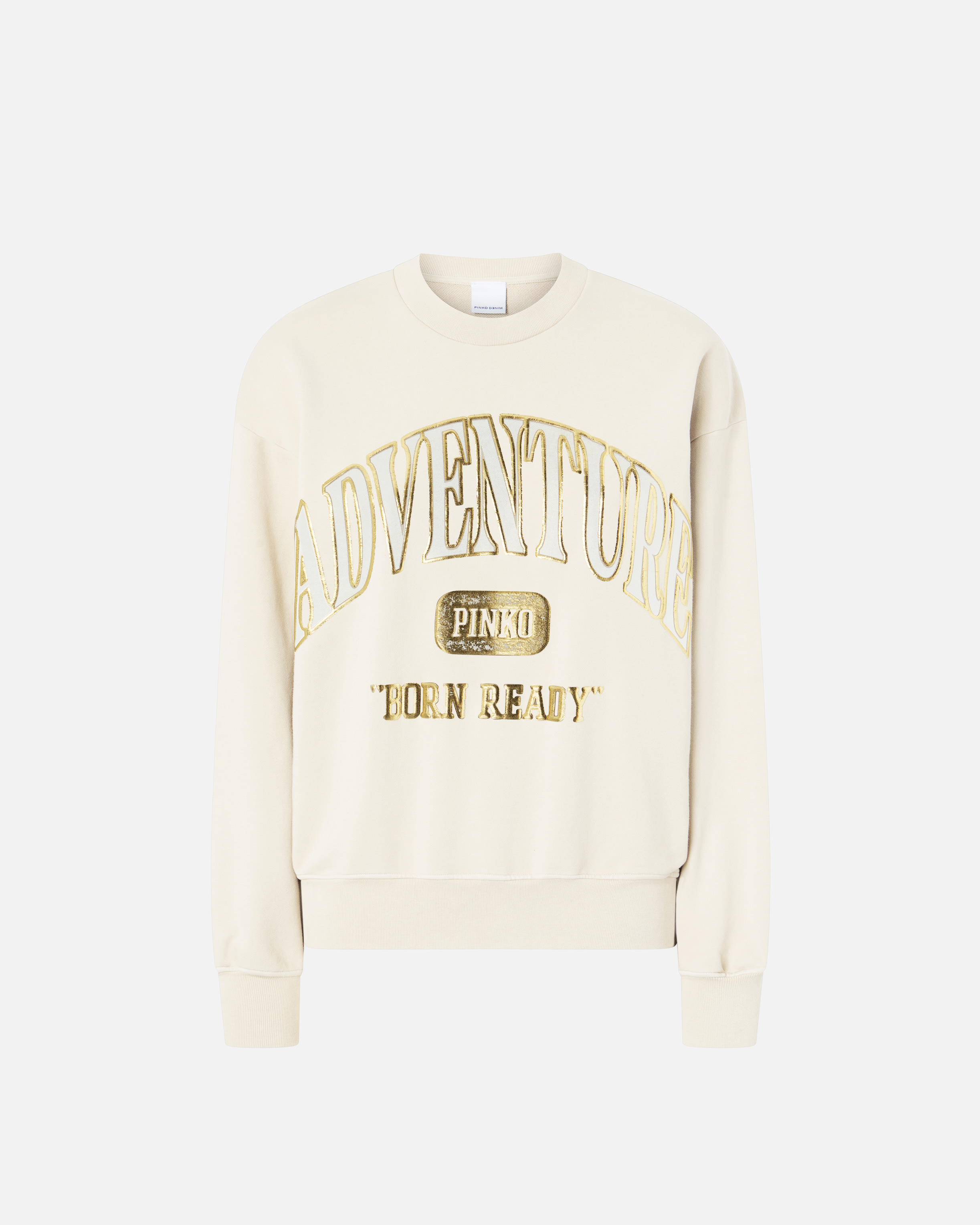 Pinko Adventure Sweatshirt With Glitter In G. Maroso Beige