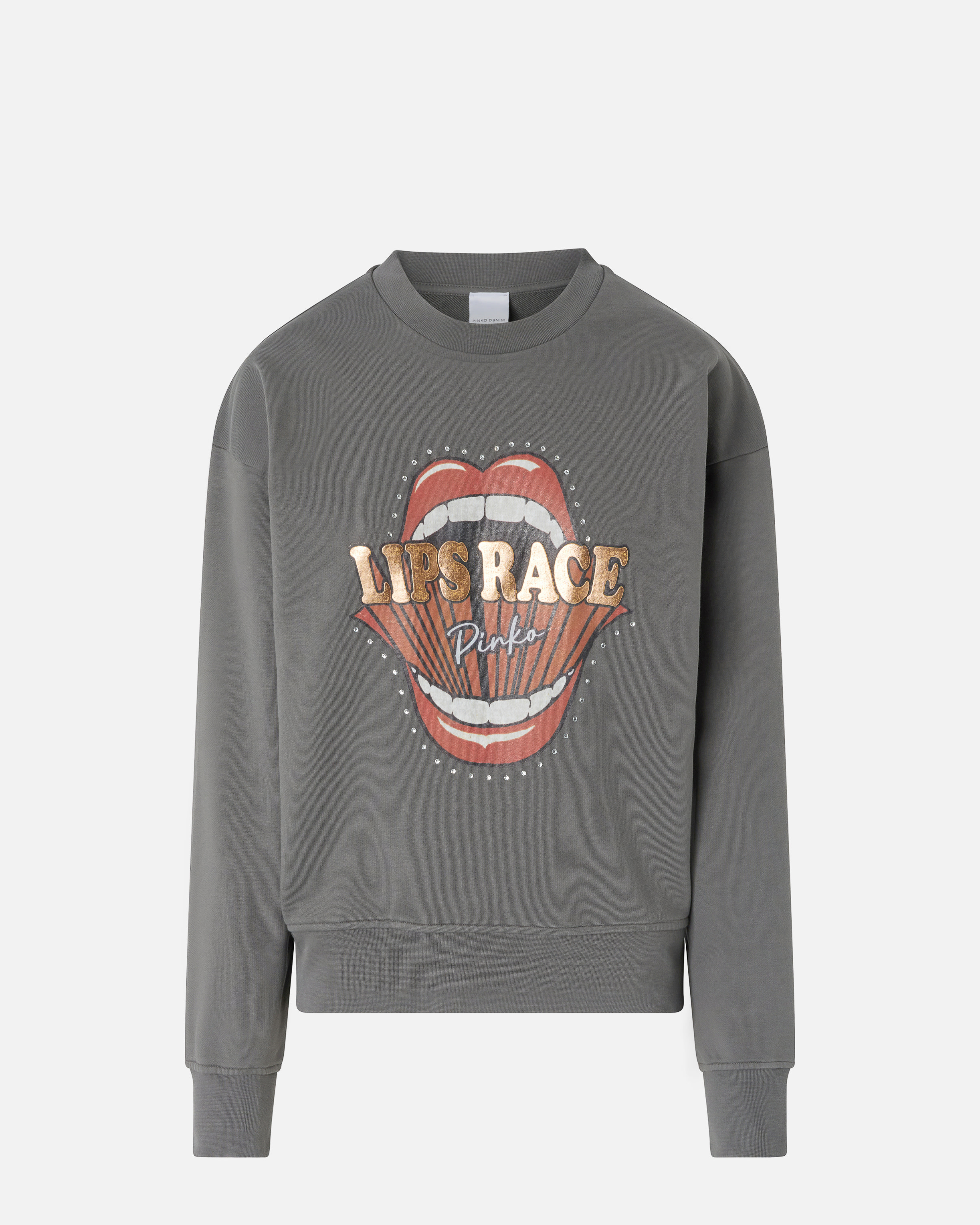 Pinko Graphic-print Sweatshirt In Gris-mouette Foncé