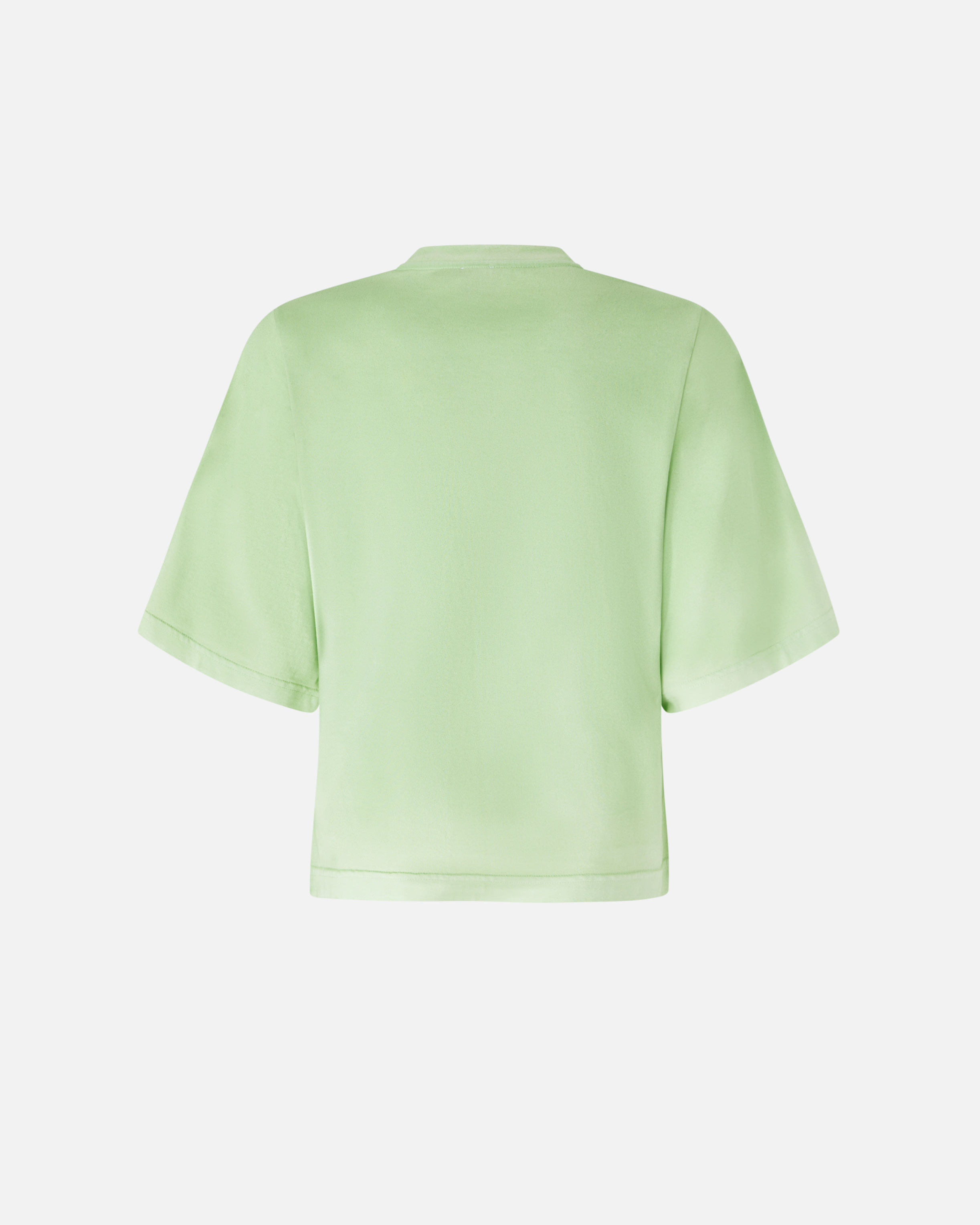 Pinko Logo-print T-shirt In Spruzzo