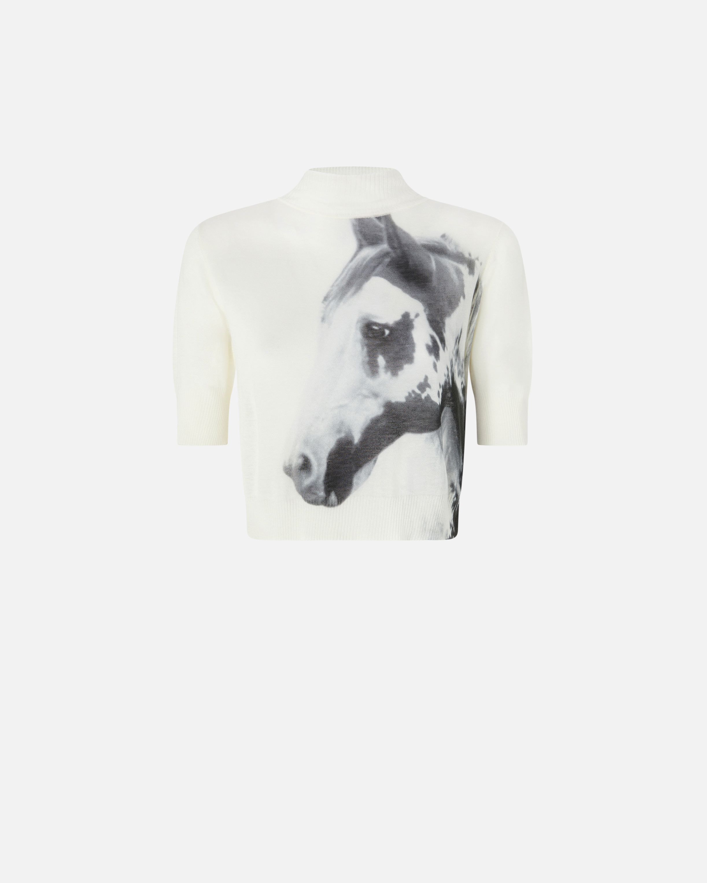 アウターその他 Pinko x Patrick Mc Dowell cotton sweatshirt 105094A2K6-L8E