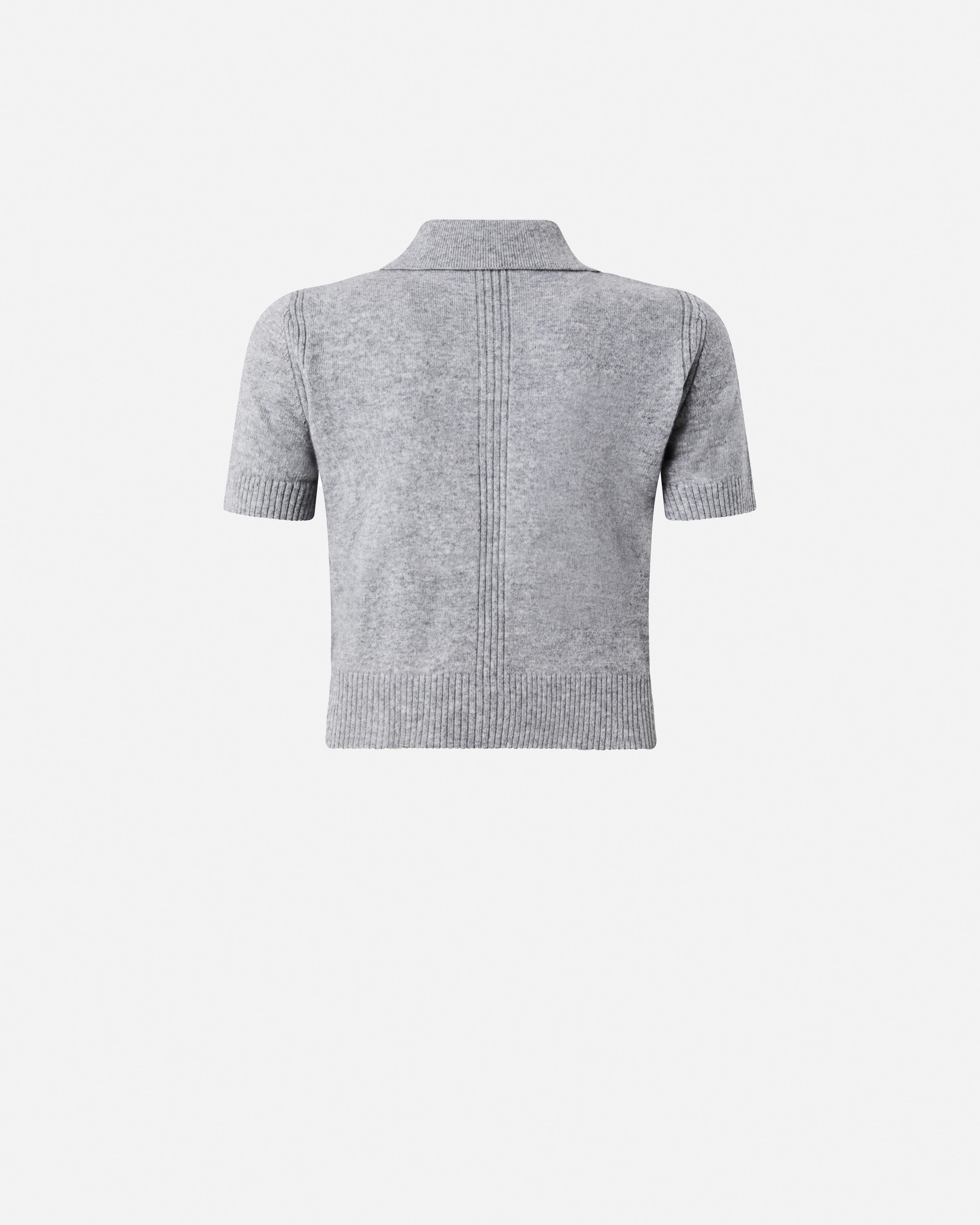 Pinko Wool And Cashmere Polo Shirt In Gray