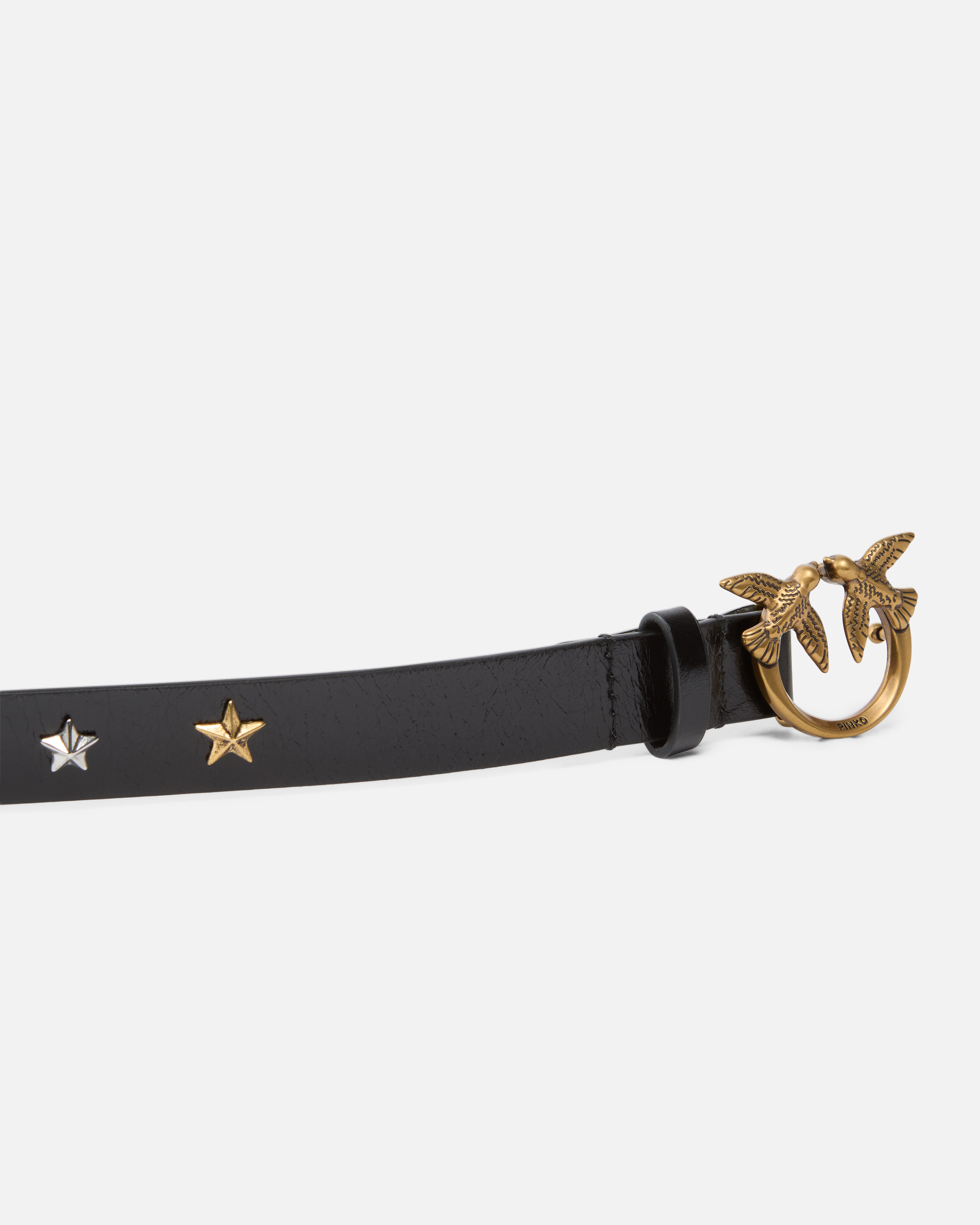 Pinko 2.2-cm Belt With Studs And Love Birds Buckle In Multi