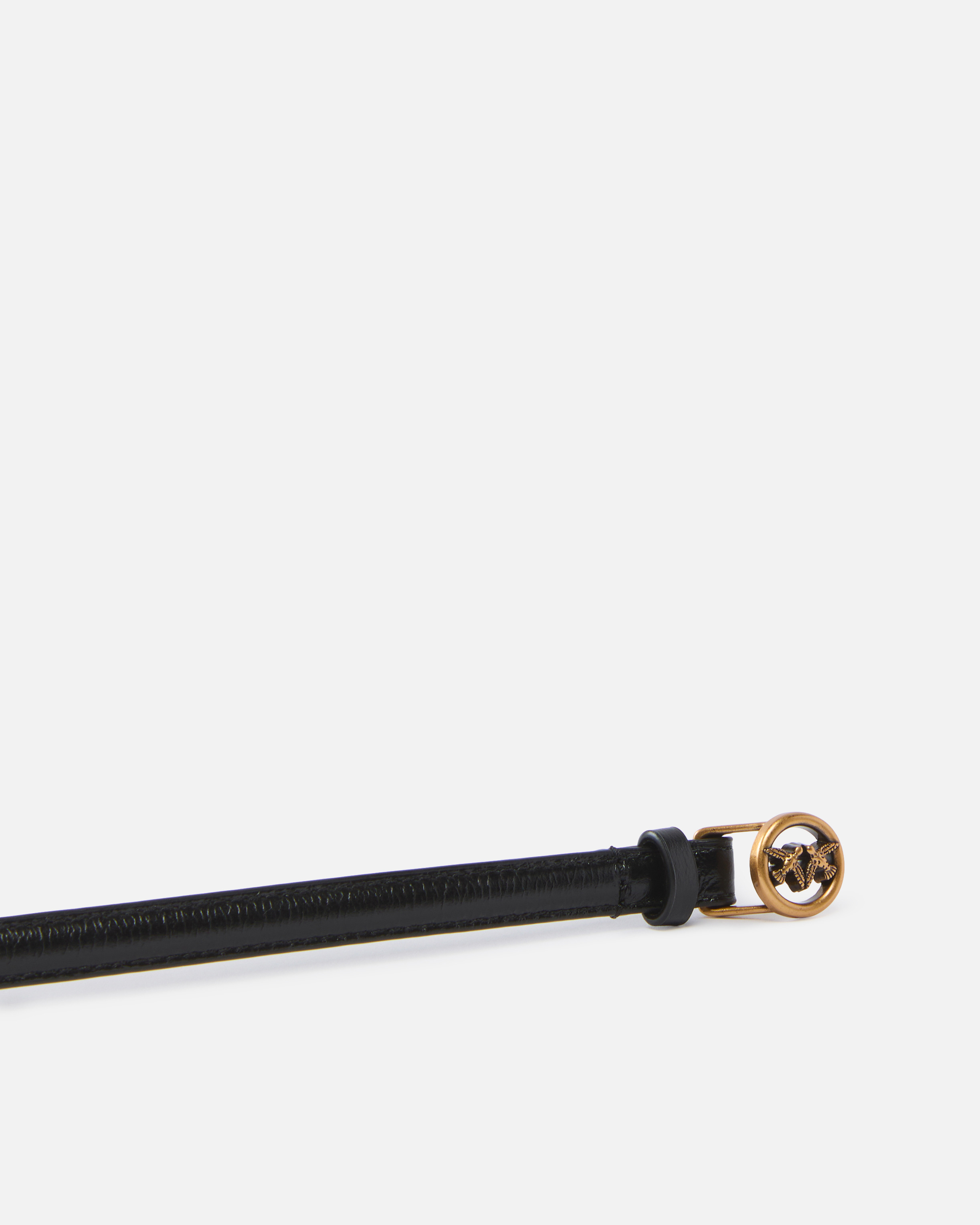 Pinko Thin Leather Belt 1 Cm In Multi