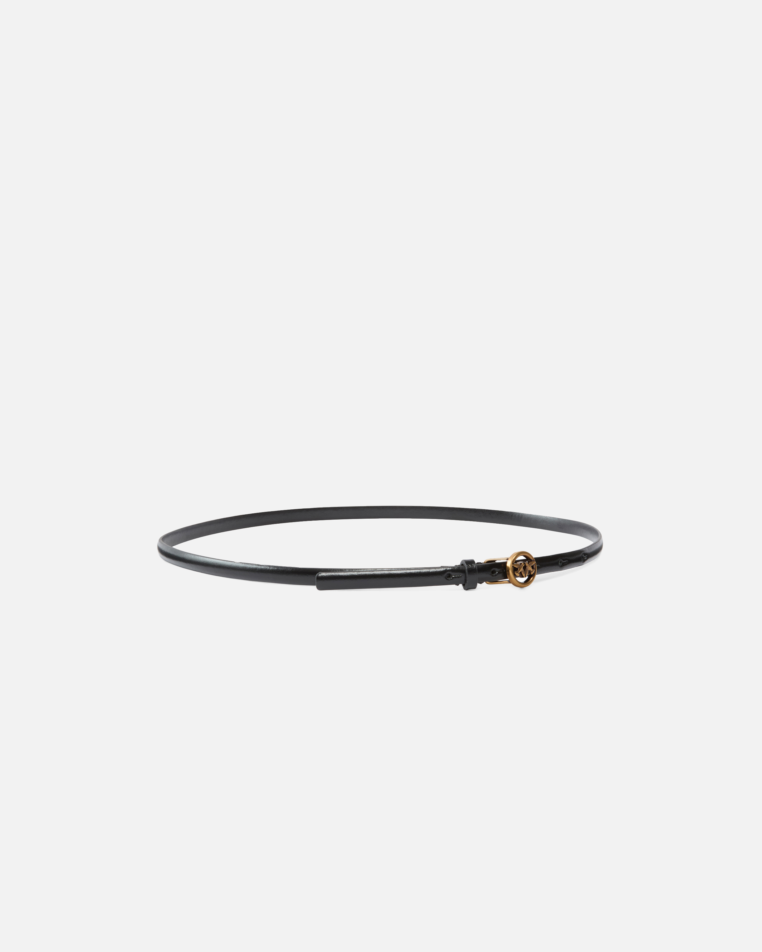 Pinko 1-cm Belt With Love Birds Buckle In Multi