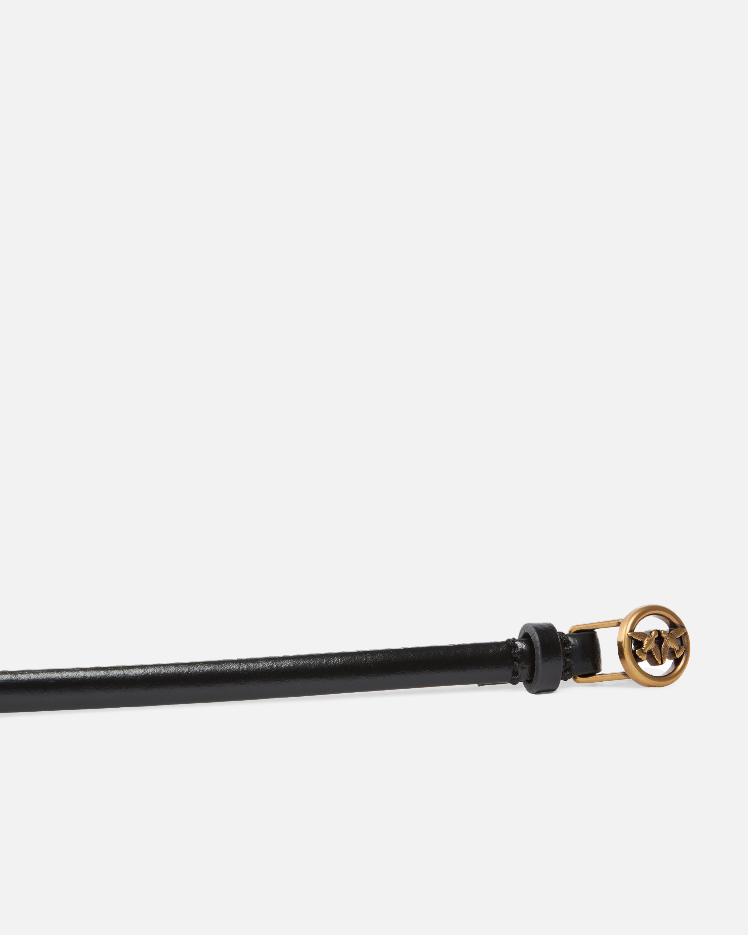 Pinko 1-cm Belt With Love Birds Buckle In Multi