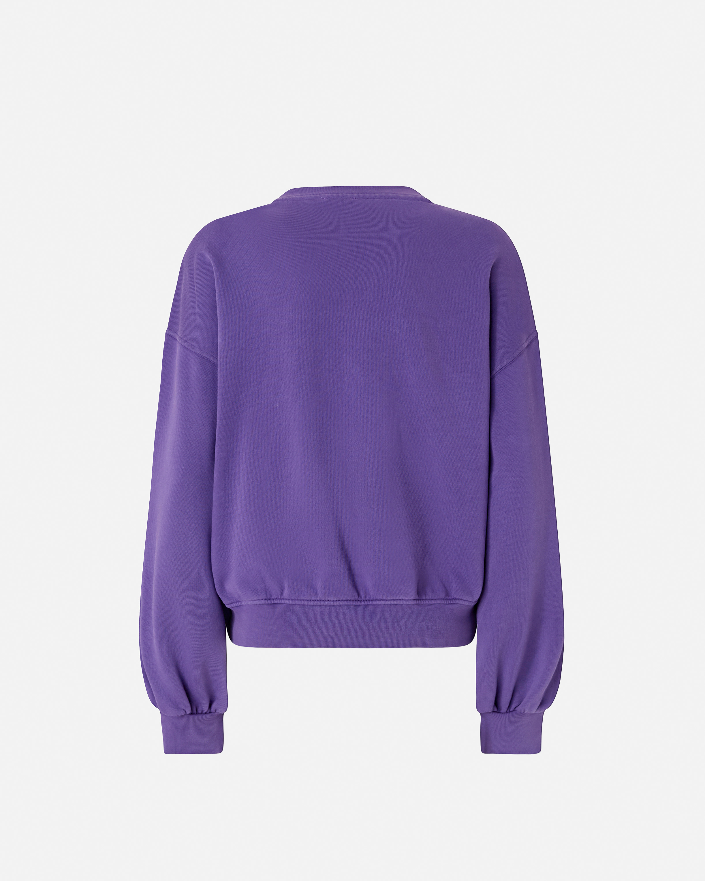 Pinko Sweatshirt With Love Birds Embroidery In Blue