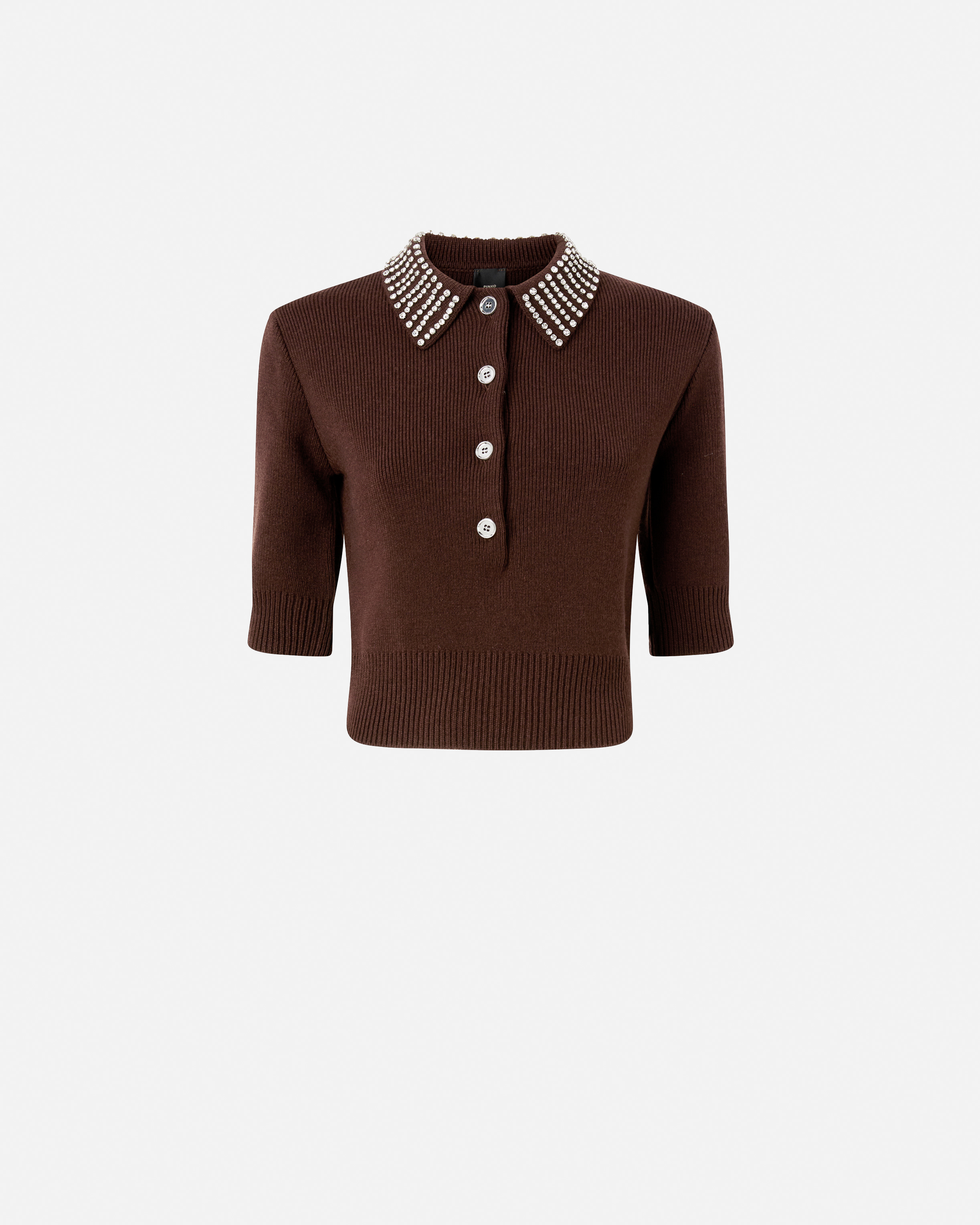 Pinko Emilia Sweater With Strass In Brown