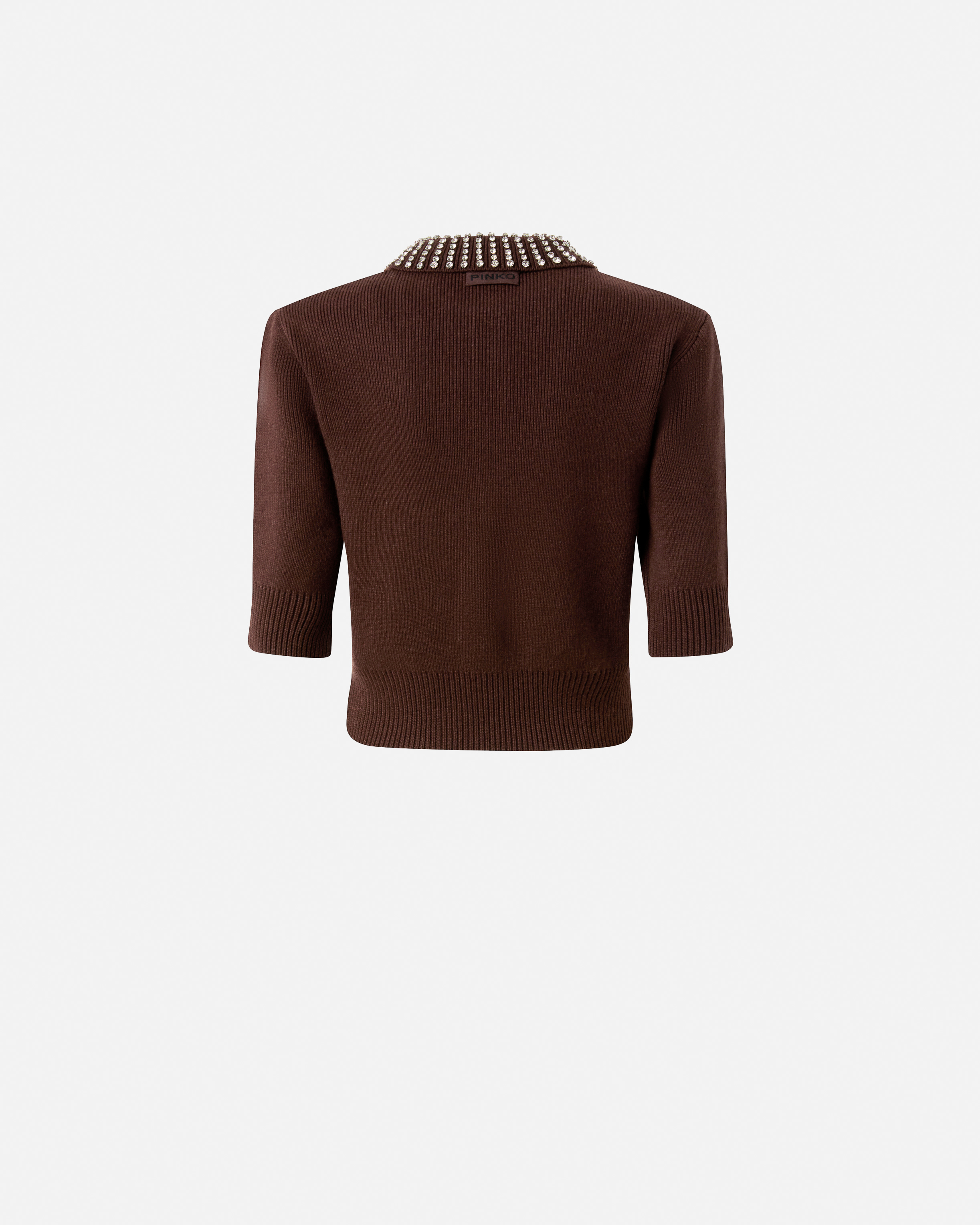 Pinko Emilia Sweater With Strass In Brown