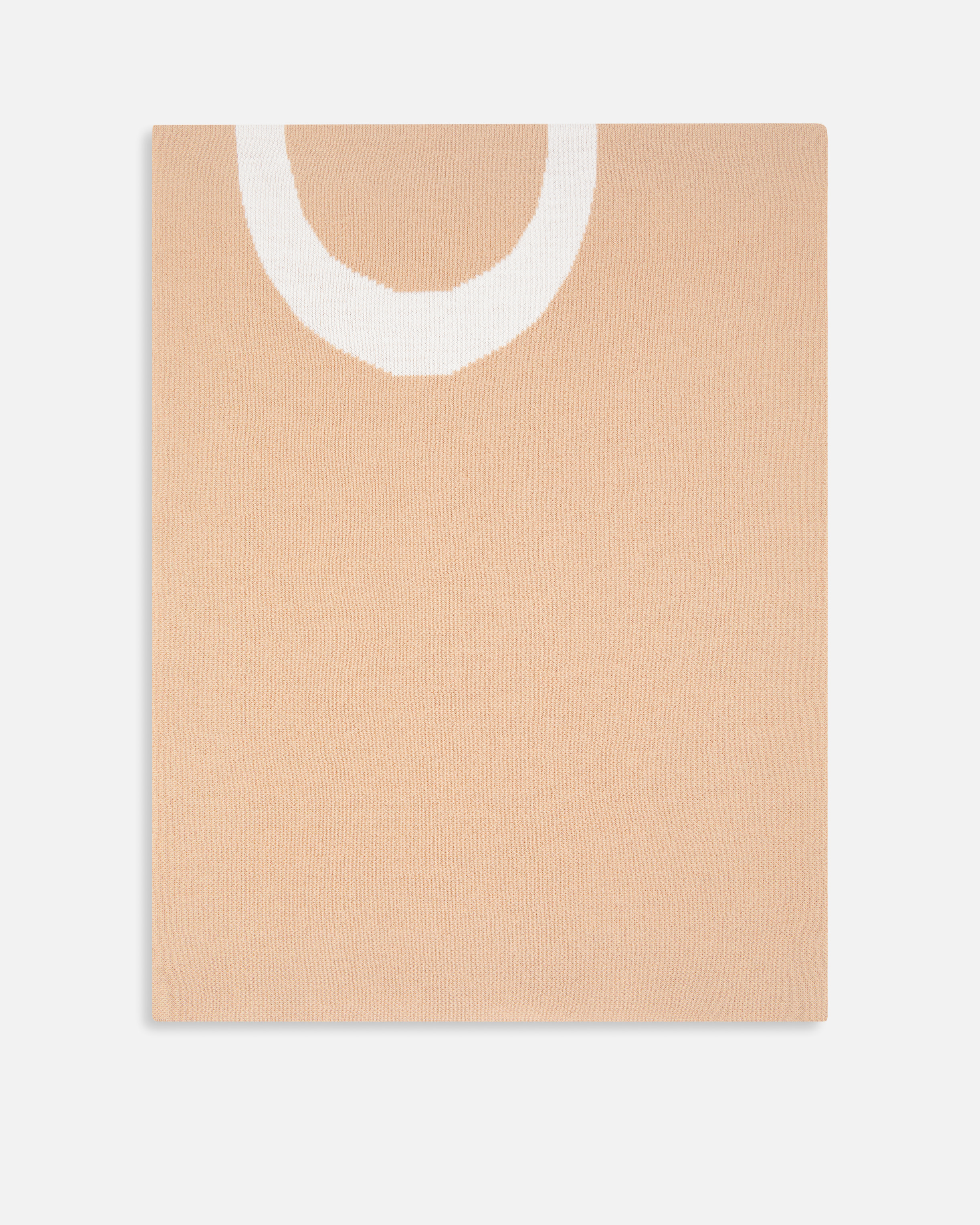 Pinko Beige Logo Scarf In Neutral