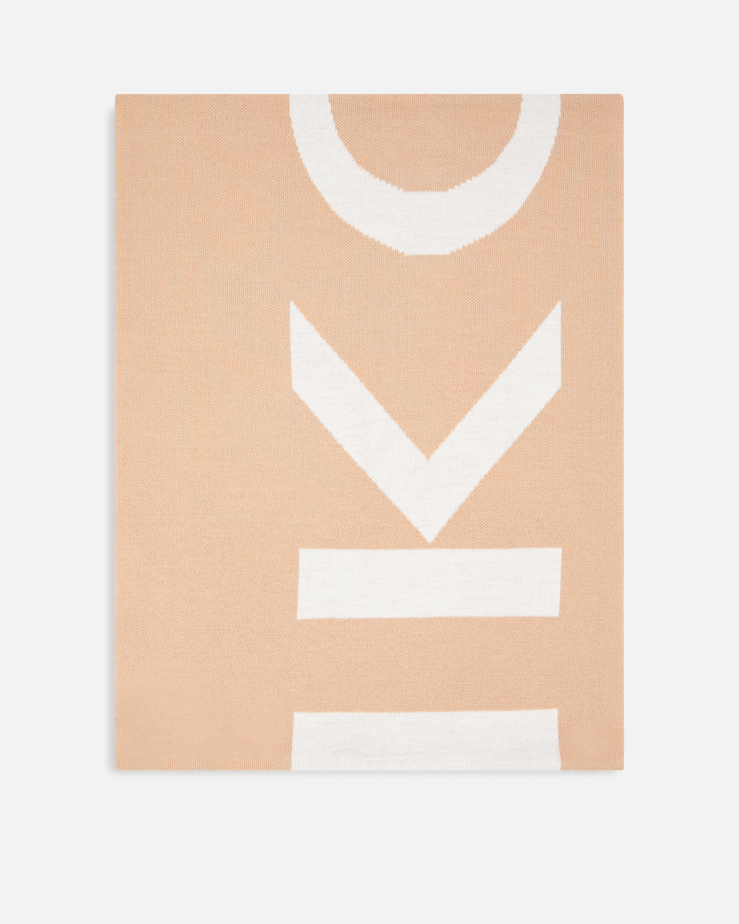 Pinko Beige Logo Scarf In Neutral