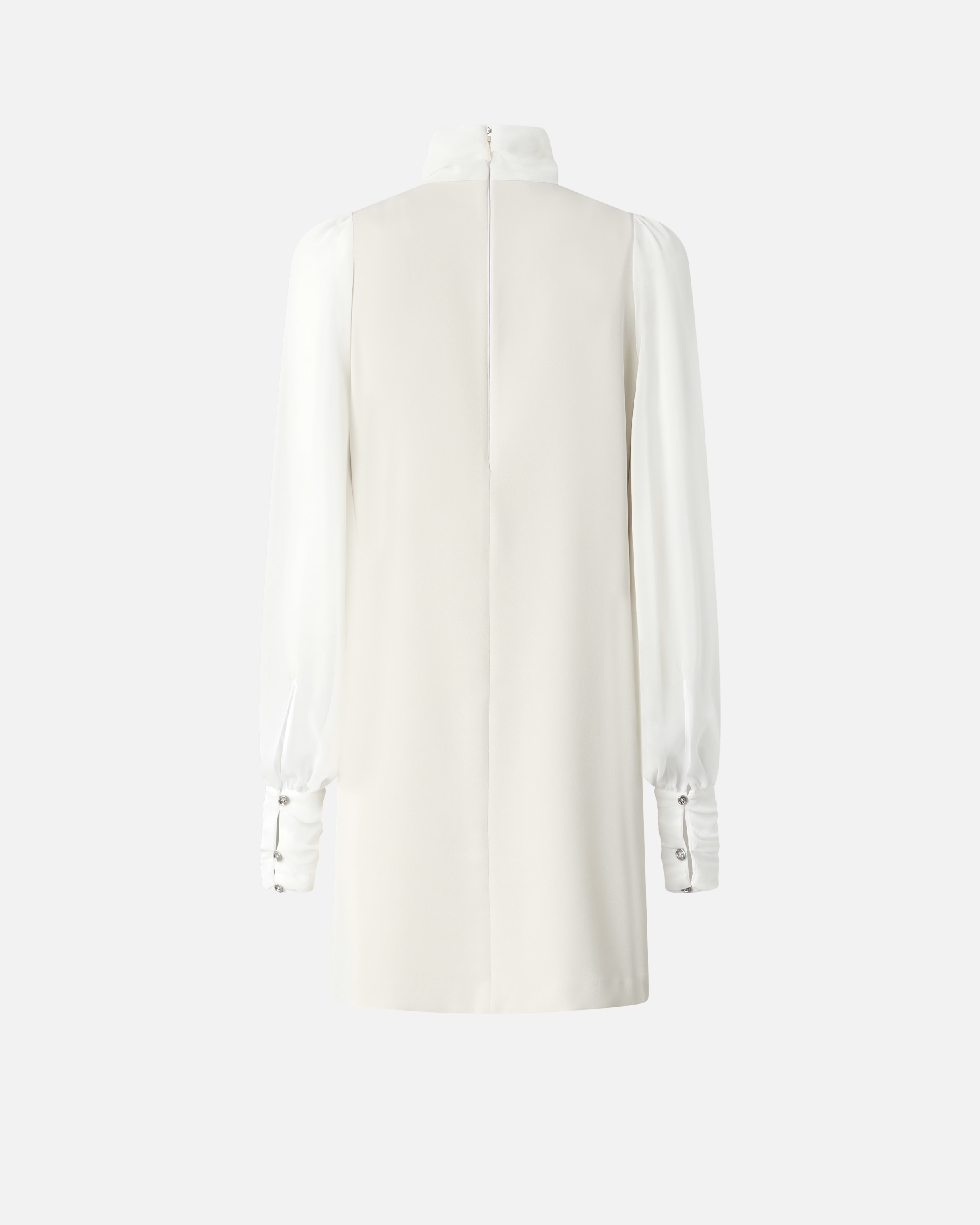 Pinko Dress With Georgette Sleeves And High Neck In White