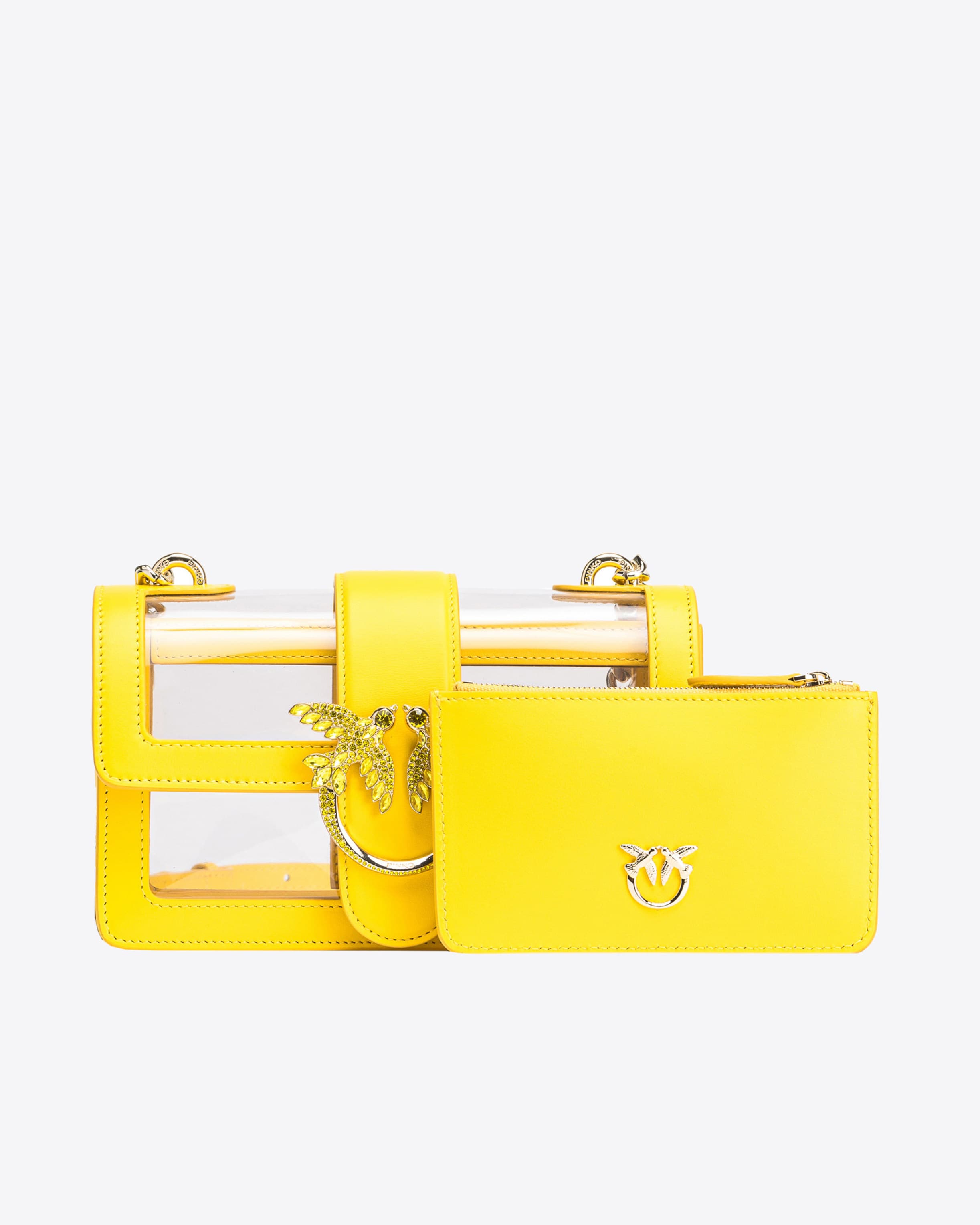 Pinko transparent bag shop