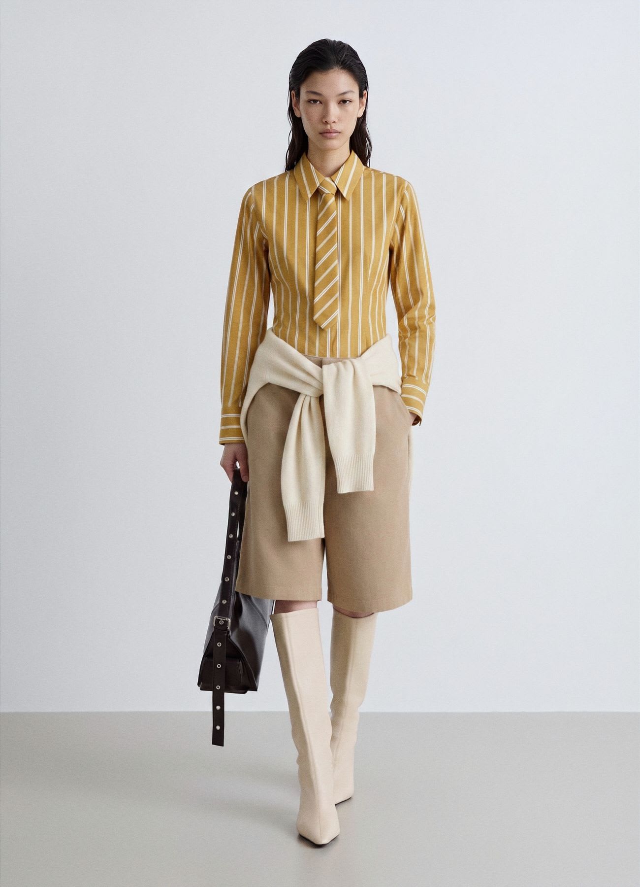 Camicia a righe con cravatta