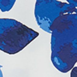 Var blu elettrico