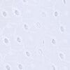 Bianco ottico