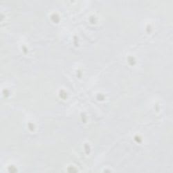 Bianco ottico