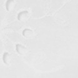 Bianco ottico