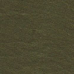 Verde militare scuro