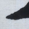 Var ultrablack