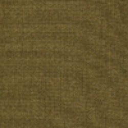 Verde oliva