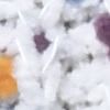 Var gesso