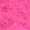 Fucsia vivo