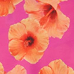 Var fucsia
