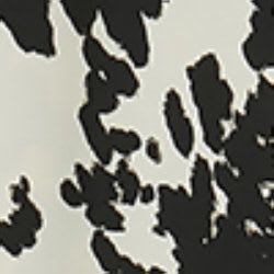 Var gesso