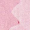 Var rosa vivo