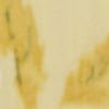 Var giallo limone