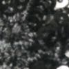 Ultrablack