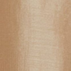 Gesso