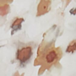 Var beige