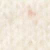 Var gesso