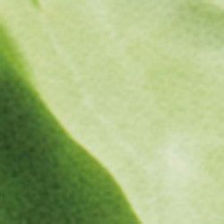 Var verde