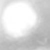 Argento